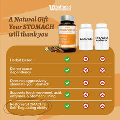 Cinnamon and Magnolia Bark ingredients in Stomach Plus