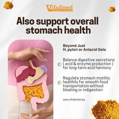 Dong Quai ingredient used in Stomach Plus