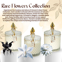 Luxurious packaging and display-ready candle in a stylish jar