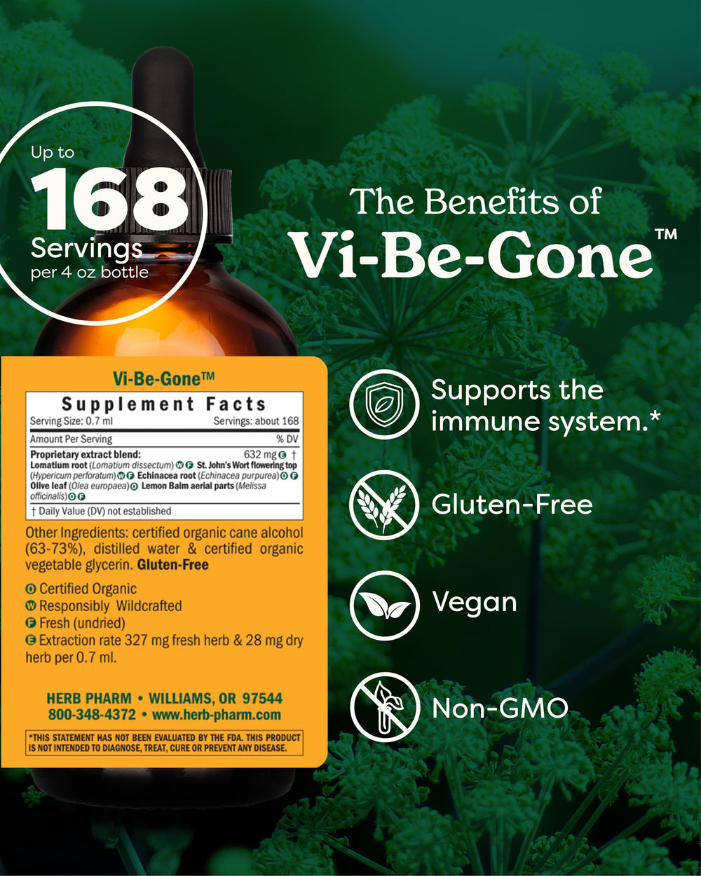 Lomatium and Echinacea herbs used in Virattack formula