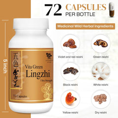 Ingredients list showing Lingzhi mushrooms and natural antioxidants.