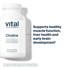 Choline metabolism and liver health illustration