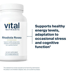 Healthcare practitioners reviewing Vital Nutrients Rhodiola Rosea product