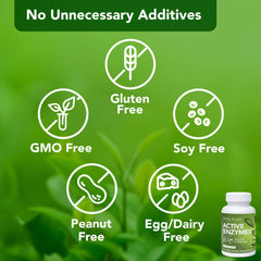 Graphic of plant-based enzymes including Amylase and Alpha Galactosidase