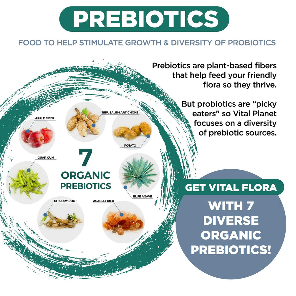 Clean label: vegan, non-GMO, dairy-free probiotic option