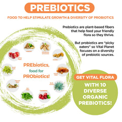 Vital Flora delayed-release capsules target intestinal delivery.