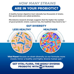 Vital Planet Vital Flora probiotic blend supporting digestive and immune health on the go.