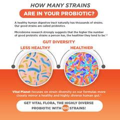 Vital Flora ingredients list with organic prebiotics for gut-friendly support.