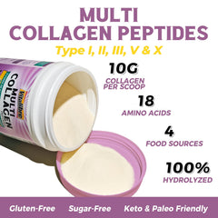 Graphic showing collagen types I to X