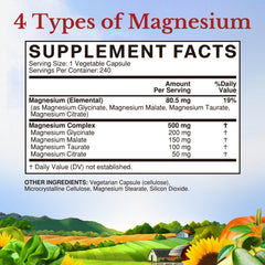 Four chelated magnesium forms: glycinate, citrate, taurate, malate