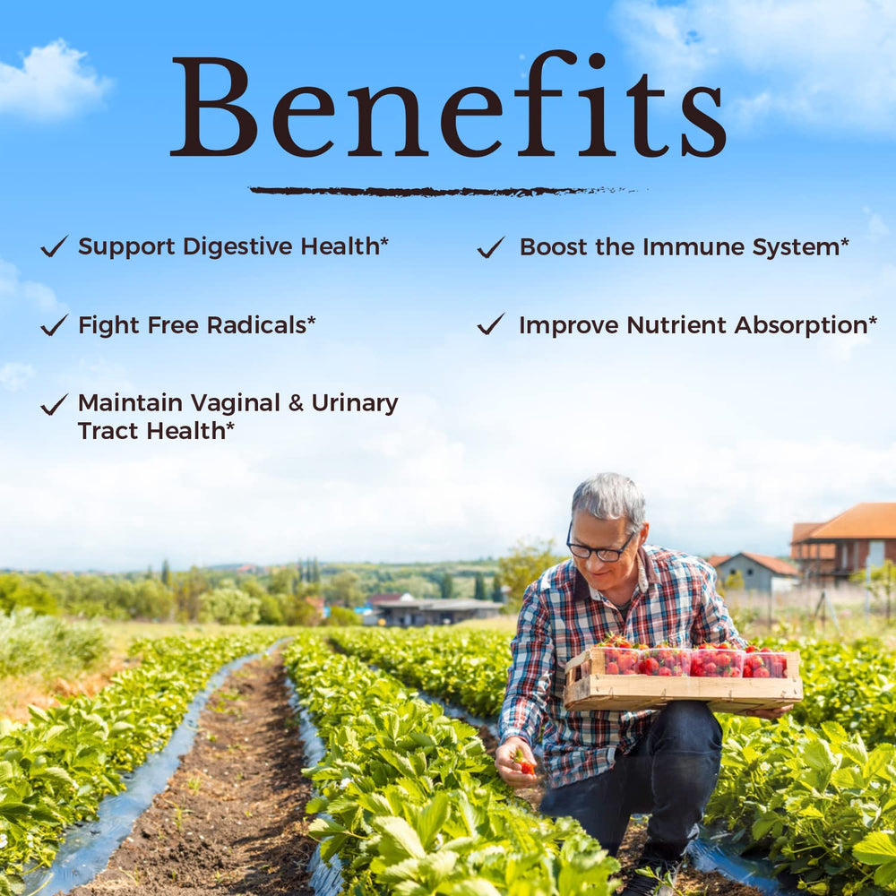 Vegan probiotics with prebiotics and cranberry