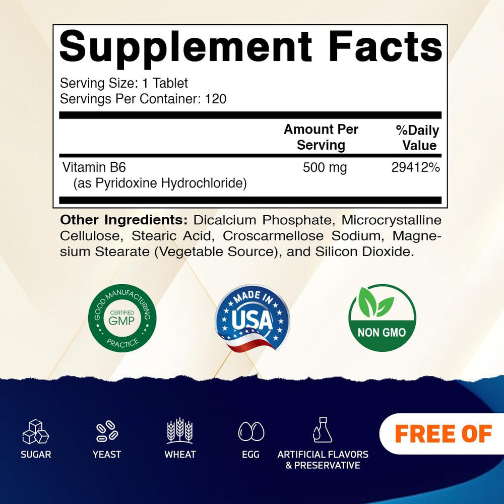 Vitamatic Vitamin B6 500 mg bottle back label with supplement facts