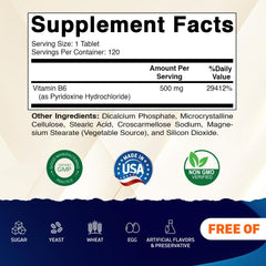 Close-up of Vitamatic B6 500 mg Pyridoxine HCI bottle label