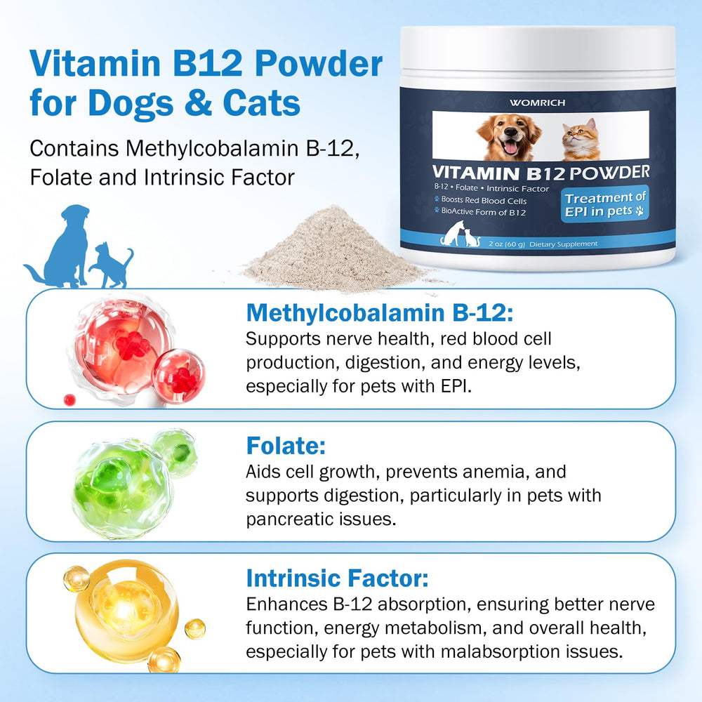 Cat and dog silhouettes with vitamin B12 supplement