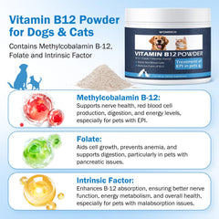 Cat and dog silhouettes with vitamin B12 supplement