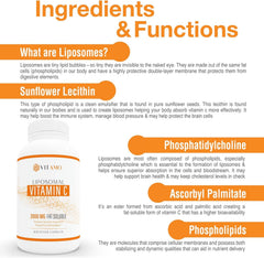 Vitamo label detail showing USA-made, non-GMO formulation and soy-free ingredients.