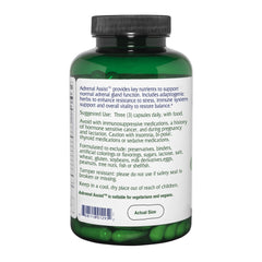 Immune support herbs: Astragalus, Holy Basil, Schizandra