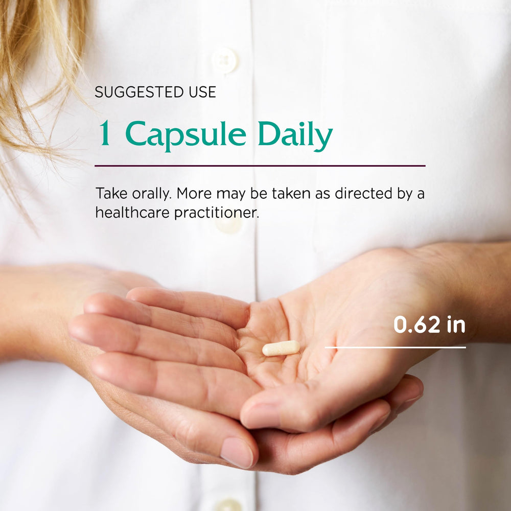 Graphic illustrating multi-strain probiotic blend