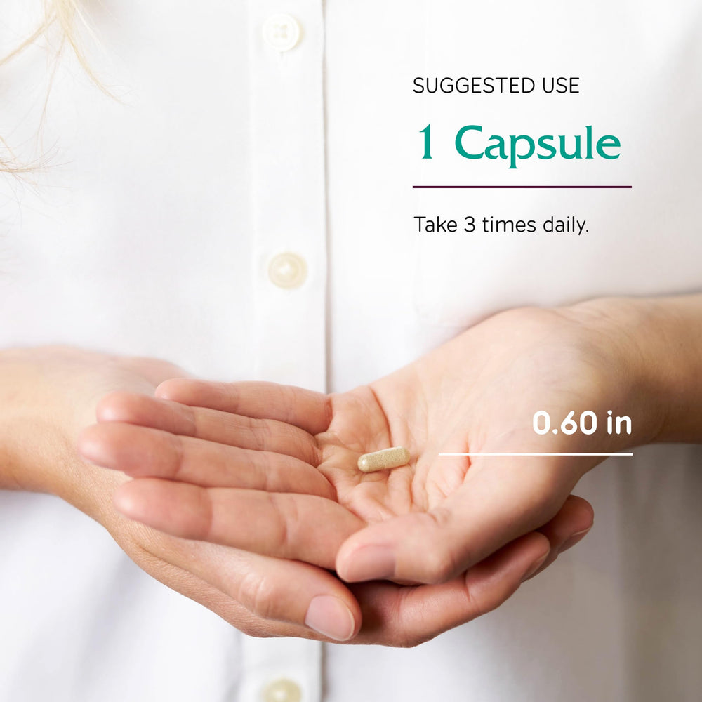 Capsules for brain health and blood flow with Ginkgo