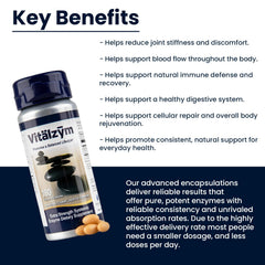 Vegan, gluten-free and dairy-free enzyme ingredients