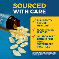 Purified fish oil production illustration