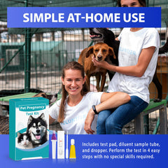 Step-by-step usage of Vivometra test kit for quick results