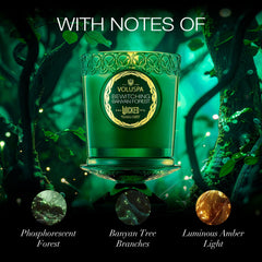 Fragrance notes graphic featuring Phosphorescent Forest, Banyan Tree, Luminous Amber Light