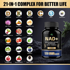 Graphic showing NAD+ ingredients: Resveratrol, Nicotinamide, Quercetin, CoQ10