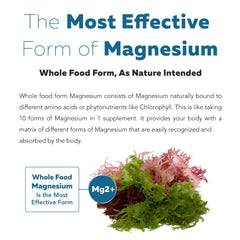 Water-extracted magnesium from sea vegetables