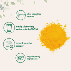 Infographic of water soluble CoQ10 absorption