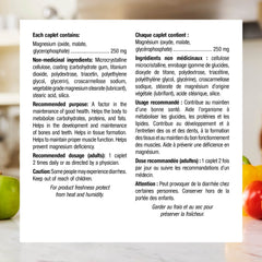 Nutrition facts panel for Webber Naturals Magnesium 250 mg