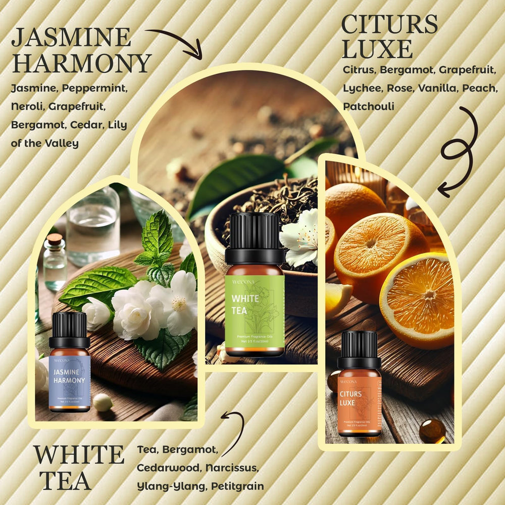 Six premium essential oils: White Tea, Citrus Luxe, Velvet Night, Verdant Citrus, Jasmine Harmony, Meadow Bliss