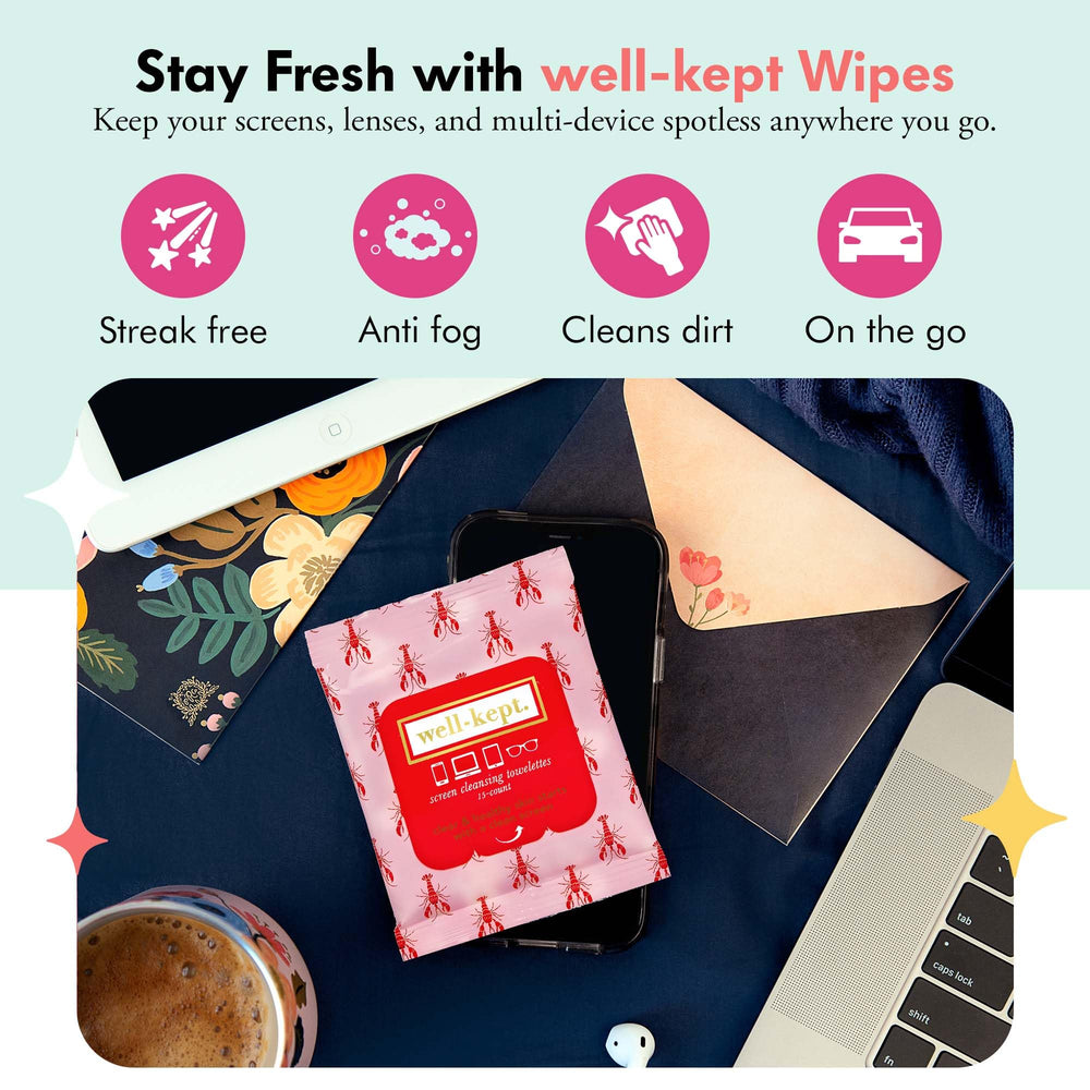 Back of Well-Kept Wipes 12-pack packaging