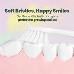 BPA-free and phthalate-free materials with rounded bristle tips