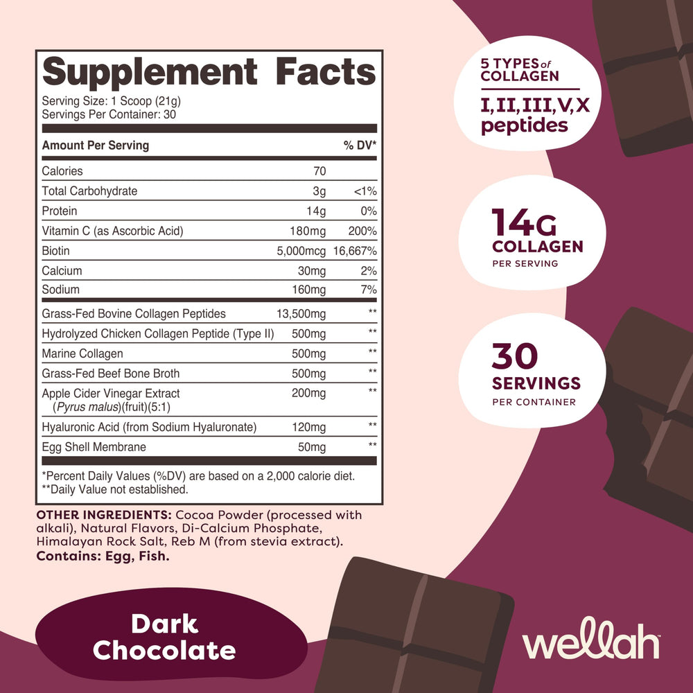 Scoop showing 15g collagen in Wellah Afterglow Dark Chocolate flavor