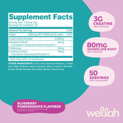 Bottle of Wellah Creatine for Women in Strawberry Lemonade flavor (50 servings)