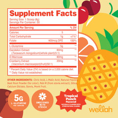 Back of Wellah L-Glutamine Powder Tropical Punch bottle with nutritional information