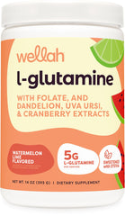 Wellah L-Glutamine Powder Watermelon Lime 50 Servings bottle