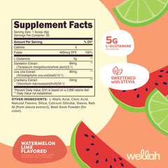 One 5g L-Glutamine serving with Watermelon Lime flavor
