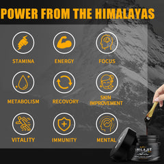 Scoop of Wellcatcher Shilajit resin 600mg