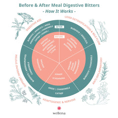 Close-up of herbal ingredients used in the bitters