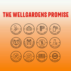 Product concept image for Wellgardens multivitamin focusing on hair, skin, and immunity