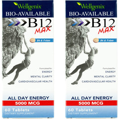 Wellgenix B12 Max two-pack packaging