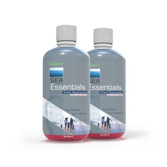 Wellgenix Sea Essentials liquid multivitamin bottle (1 oz)