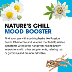 Back label of WellMind Calming Tablets showing usage information