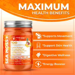Nutrient-rich sea moss gel showing minerals and vitamins