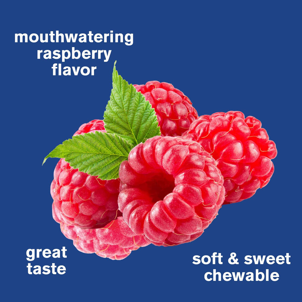 WellYeah Biotin 10000 mcg Gummies Berry ingredients list