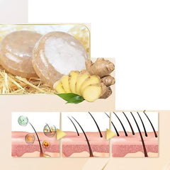 WenFeng ginger extract plant ingredients emphasizing scalp cleansing and balance