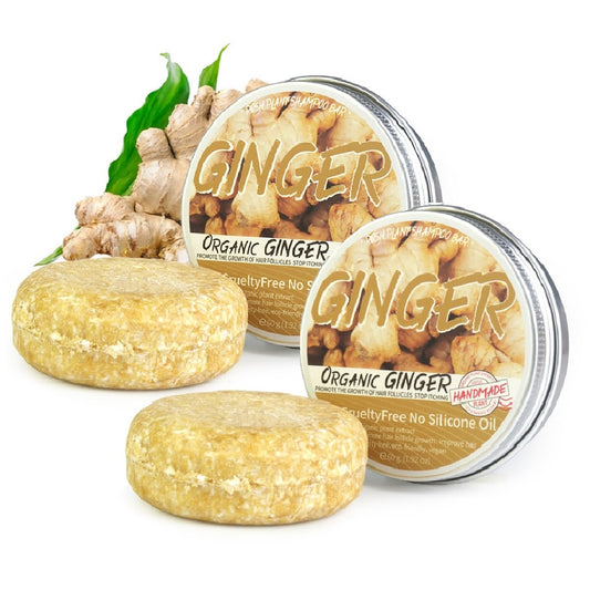 WenFeng ginger shampoo bar pack showing two bars for daily scalp care