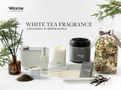 Westin Hotel Aroma Collection branding and logo